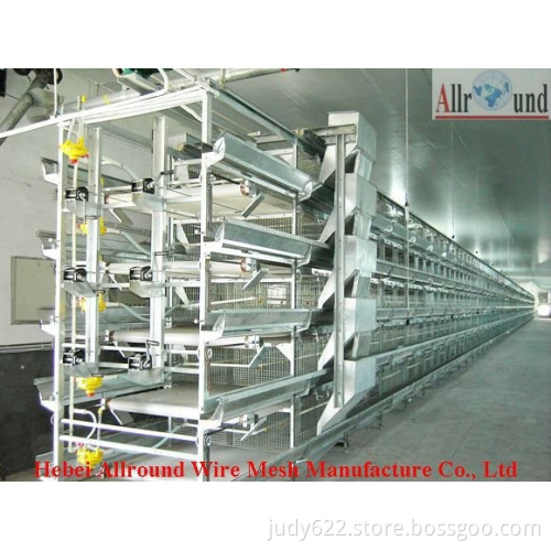 hot sale broiler rearing system from China